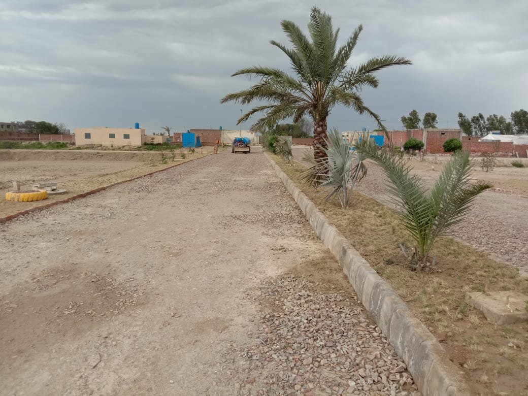 Haider Avenue Project
